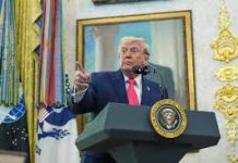 US Plans Limited Edition Travel Document Marking 250 Years of Independence