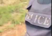 Viral Clip Ignites Fresh Allegations of Extortion at Nigerian Police Checkpoint