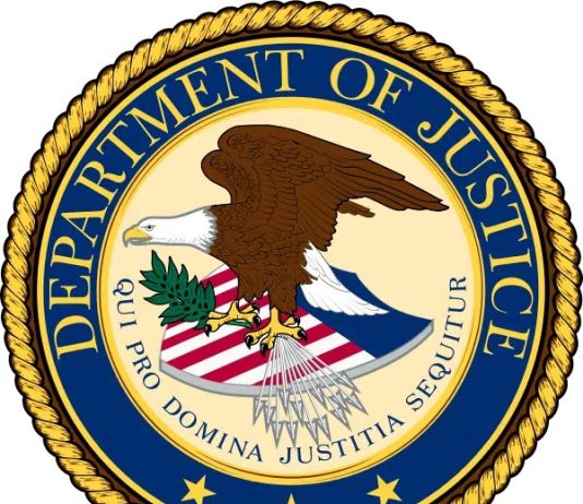 US Moves to Strip Nigerian Man of Citizenship Over Multi-Million Dollar Fraud Case
