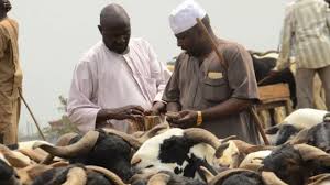 Ram Prices Soar in Ibadan as Buyers Struggle Ahead of Sallah